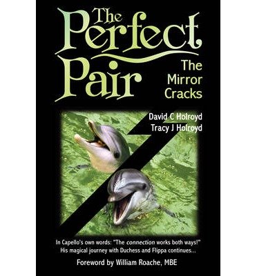 Cover for David C Holroyd · The Perfect Pair: The Mirror Cracks (Paperback Book) [UK edition] (2014)