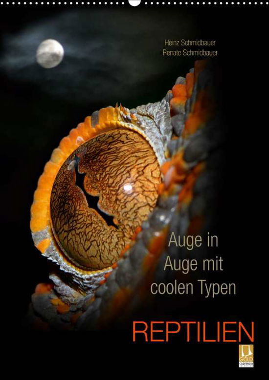 Cover for Schmidbauer · Auge in Auge mit coolen Typ (Book)