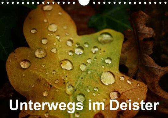 Unterwegs im Deister (Wandkalender - Witt - Books -  - 9783672317775 - 