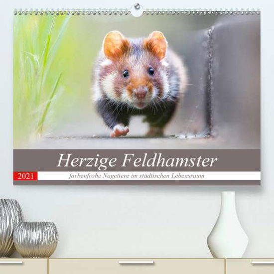 Cover for Petzl · Herzige Feldhamster - farbenfrohe (Bok)