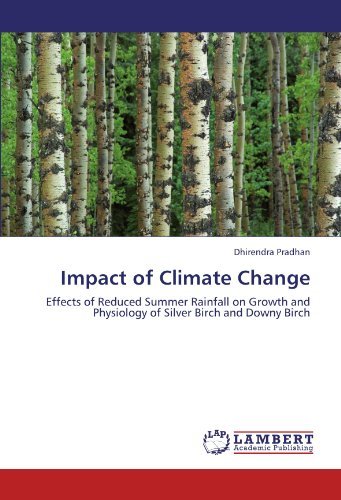 Cover for Dhirendra Pradhan · Impact of Climate Change: Effects of Reduced Summer Rainfall on Growth and Physiology of Silver Birch and Downy Birch (Pocketbok) (2011)