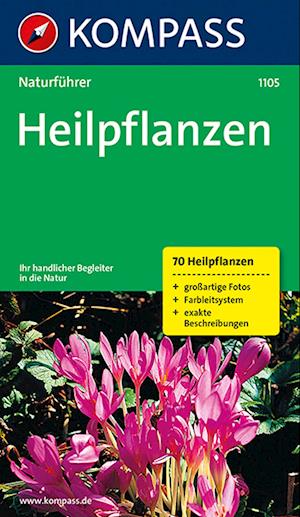 Cover for Christine Jaitner · KOMPASS Küchenschätze Heilpflanzen (Buch) (2020)