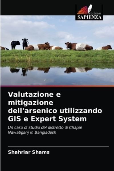 Cover for Shahriar Shams · Valutazione e mitigazione dell'arsenico utilizzando GIS e Expert System (Paperback Book) (2021)