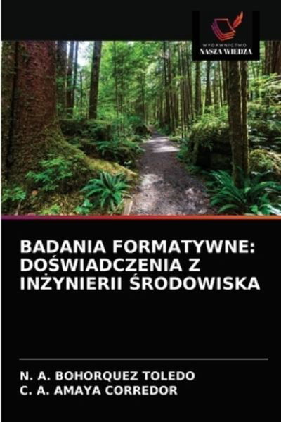 Cover for N A Bohorquez Toledo · Badania Formatywne (Paperback Bog) (2021)