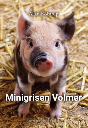 Allan Kolstrup · Minigrisen Volmer (Sewn Spine Book) [1e uitgave] (2022)