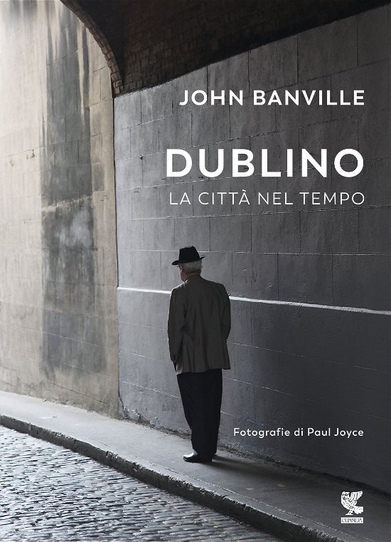 Cover for John Banville · Dublino. La Citta Nel Tempo (Buch)