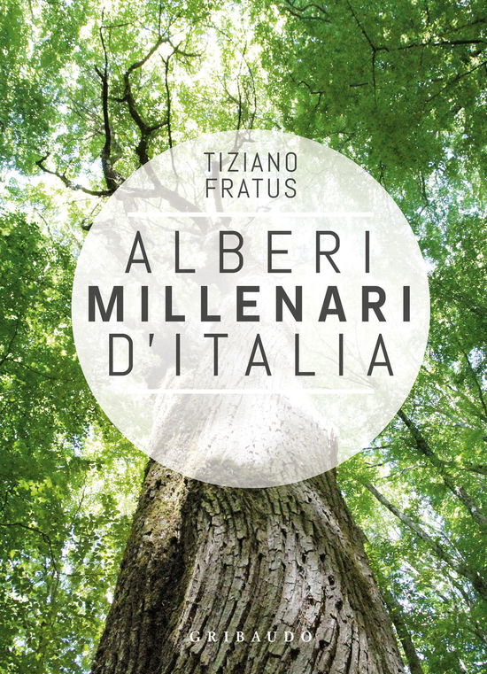 Cover for Tiziano Fratus · Alberi Millenari D'italia. Un Viaggio Fra I Boschi Nascosti. Ediz. Illustrata (Book)