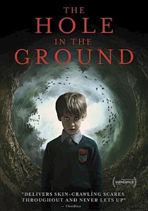 Cover for Hole in the Ground (DVD) (2019)