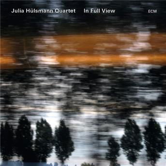 In Full View - Julia Hulsmann Quartet - Muziek - JAZZ - 0602537177776 - 11 juni 2013