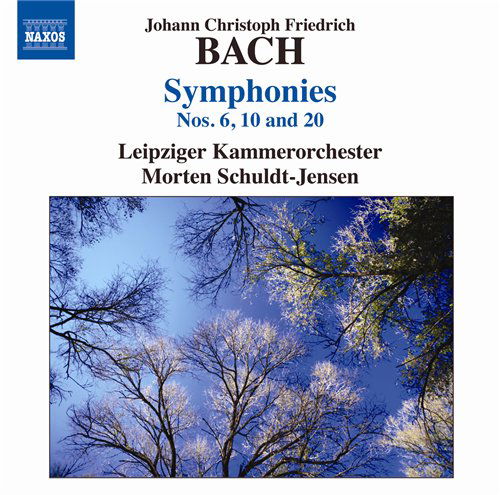 Leipzig Coschuldtjensen - Jcbach - Muziek - NAXOS - 0747313221776 - 4 januari 2011