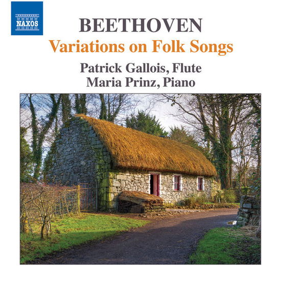 Beethovenvariations On Folk Song - Patrick Galloismaria Prinz - Muziek - NAXOS - 0747313333776 - 28 augustus 2015