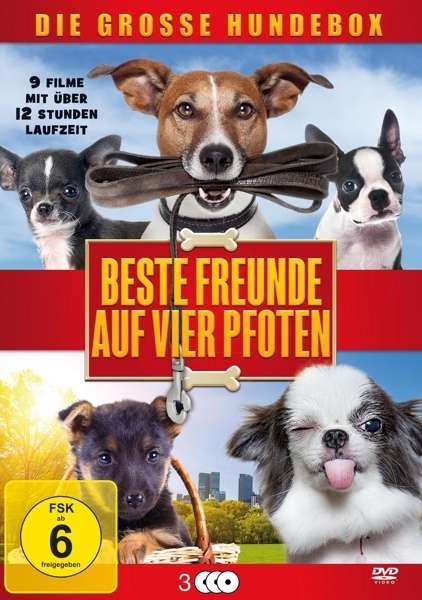 Beste Freunde Auf Vier Pfoten - V/A - Filmes - GREAT MOVIES - 4015698005776 - 15 de abril de 2016