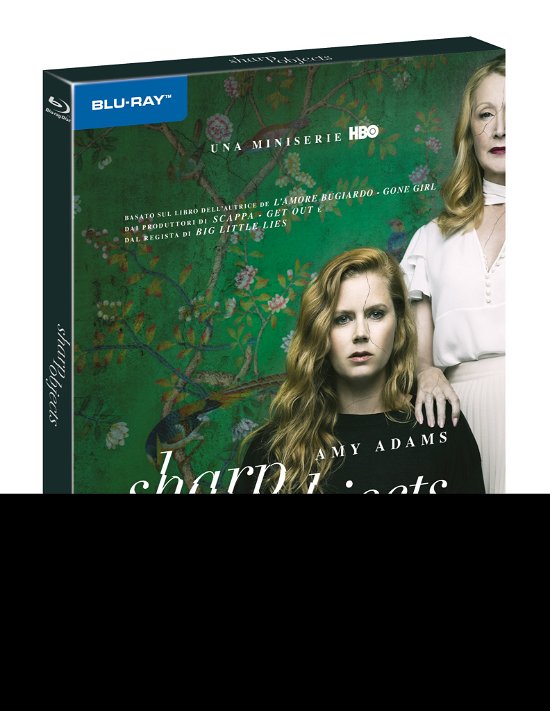 Sharp Objects - Sharp Objects - Movies - Warner Bros - 5051891166776 - December 11, 2018