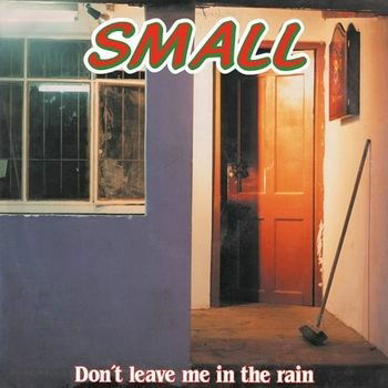 Cover for Small · Don't Leave Me In The Rain (LP) (2022)