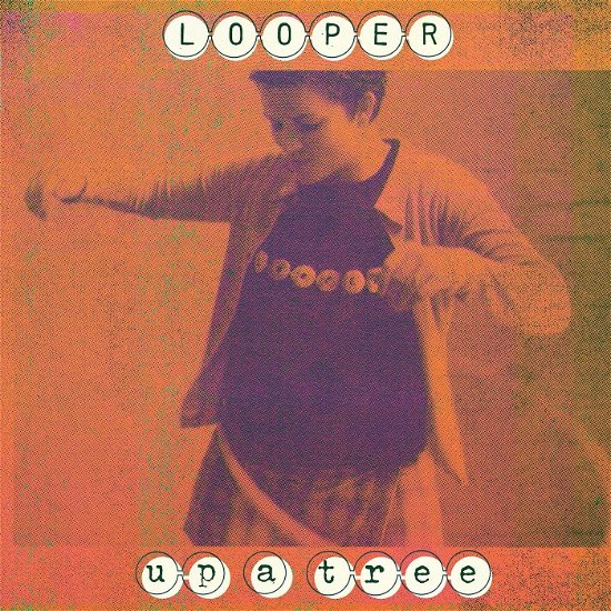 Cover for Looper · Up A Tree (CD) (2024)
