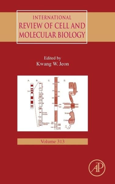 Cover for Kwang W Jeon · International Review of Cell and Molecular Biology - International Review of Cell and Molecular Biology (Innbunden bok) (2014)