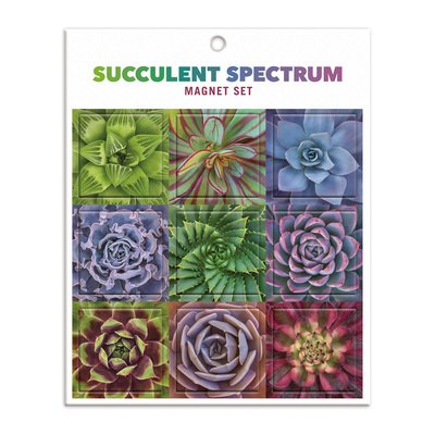 Succulent Spectrum Magnet Set - Galison - Gadżety - Galison - 9780735364776 - 1 lipca 2020
