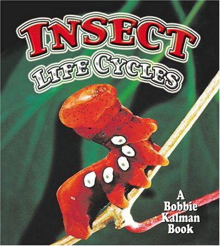 Cover for Molly Aloian · Insect Life Cycles - World of Insects (Paperback Book) (2005)