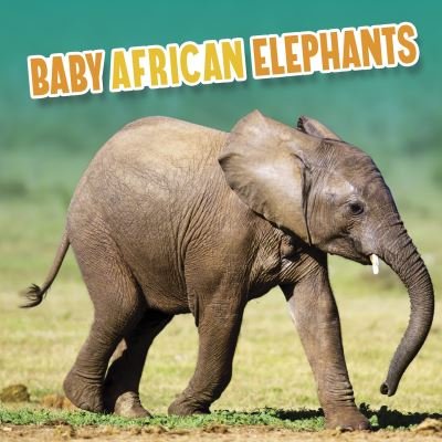 Cover for Martha E. H. Rustad · Baby African Elephants - Baby Animals (Hardcover bog) (2022)