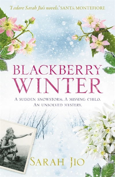 Blackberry Winter: The stunning festive mystery to curl up with over the holidays! - Sarah Jio - Books - Orion Publishing Co - 9781409190776 - November 28, 2019