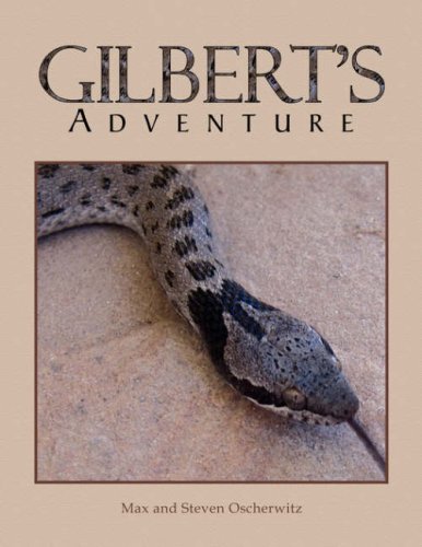 Cover for Max and Steven Oscherwitz · Gilbert's Adventure (Paperback Book) (2008)