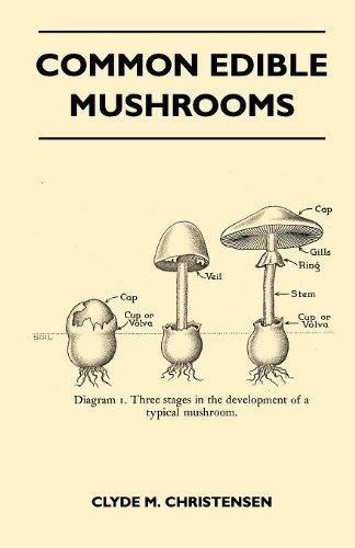 Cover for Clyde M. Christensen · Common Edible Mushrooms (Paperback Book) (2010)