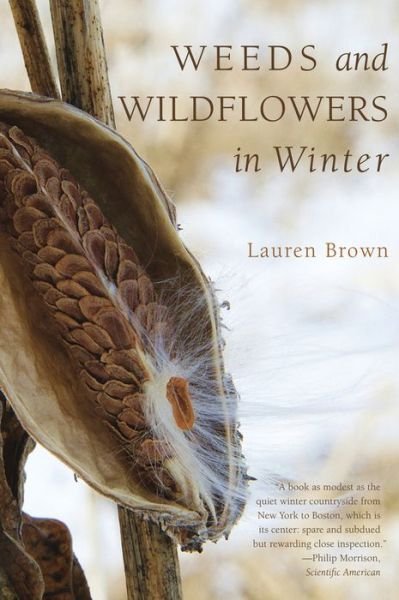 Weeds and Wildflowers in Winter - Lauren Brown - Livres - WW Norton & Co - 9781581571776 - 3 décembre 2012
