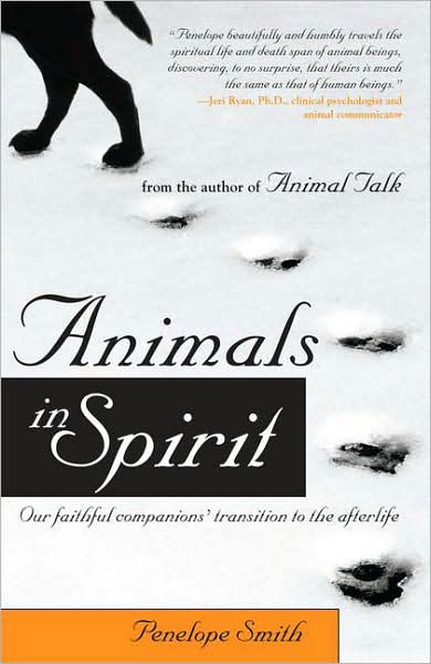 Cover for Penelope Smith · Animals in Spirit: Our Faithful Companions' Transition to the Afterlife (Paperback Book) (2008)