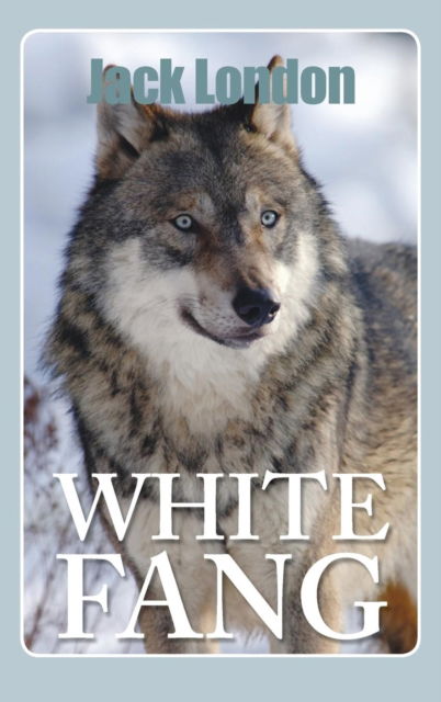 Cover for Jack London · White Fang (Hardcover Book) (2012)