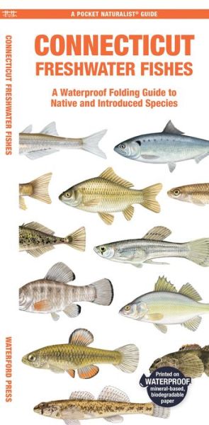 Cover for Morris, Matthew, Waterford Press · Connecticut Freshwater Fishes: A Folding Guide to Native and Introduced Species - Pocket Naturalist Guide (Pamflet) (2024)