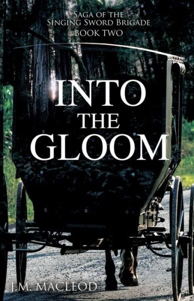 Cover for J M MacLeod · Into the Gloom (Paperback Book) (2019)