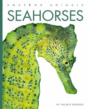 Cover for Valerie Bodden · Seahorses (Bok) (2023)