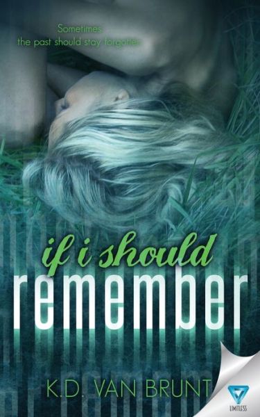 Cover for K D Van Brunt · If I Should Remember (Paperback Book) (2016)