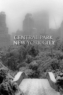 Sir Michael Huhn · Central park Bridge New York City snow Winter Blank Journal $ir Michael Huhn designer edition (Paperback Book) (2020)