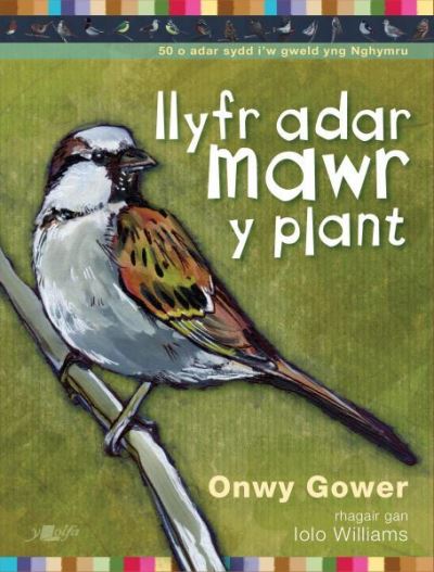 Cover for Onwy Gower · Llyfr Adar Mawr y Plant (Paperback Book) (2023)