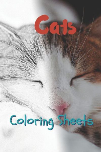 Cover for Julian Smith · Cat Coloring Sheets (Pocketbok) (2019)