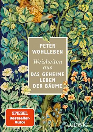 Cover for Peter Wohlleben · Weisheiten aus »Das geheime Leben der Bäume« (Bok) (2024)