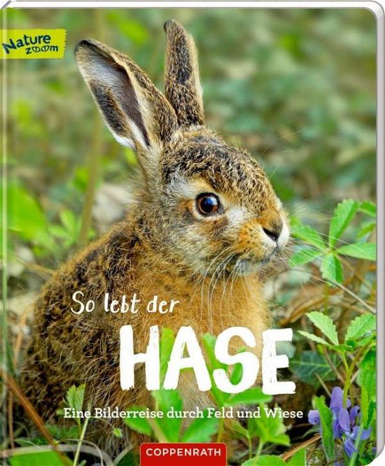 Cover for Noa · So lebt der Hase (Buch)