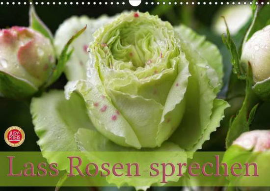 Cover for Cross · Lass Rosen sprechen (Wandkalender (Book)