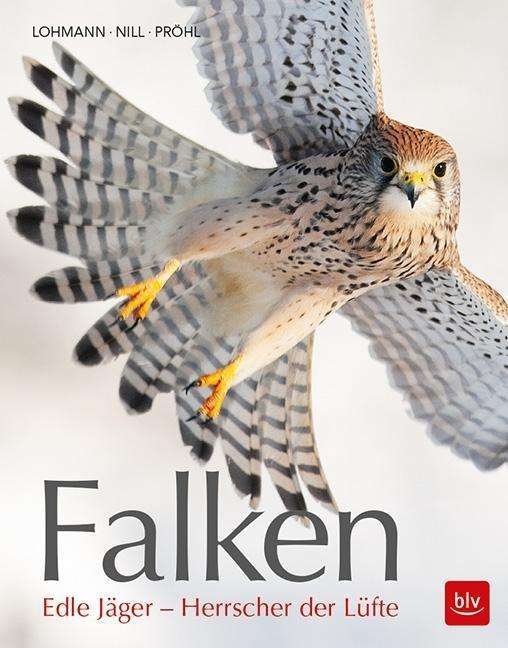 Cover for Lohmann · Falken (Book)