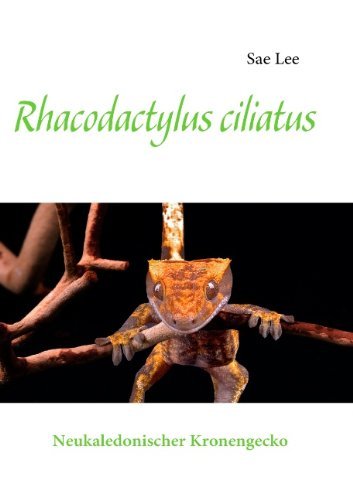 Cover for Sae Lee · Rhacodactylus Ciliatus (Pocketbok) [German edition] (2009)