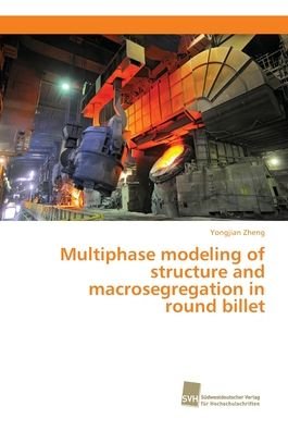 Cover for Zheng · Multiphase modeling of structure (Bog) (2018)