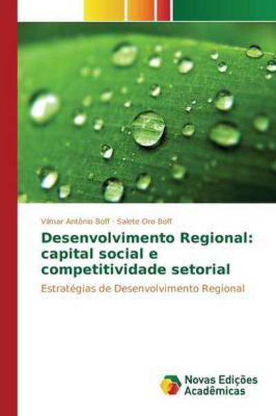 Cover for Boff · Desenvolvimento Regional: capital (Buch) (2015)