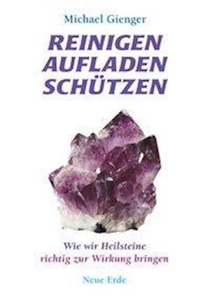 Cover for Michael Gienger · Reinigen Aufladen SchÃ¼tzen (Paperback Book) (2008)