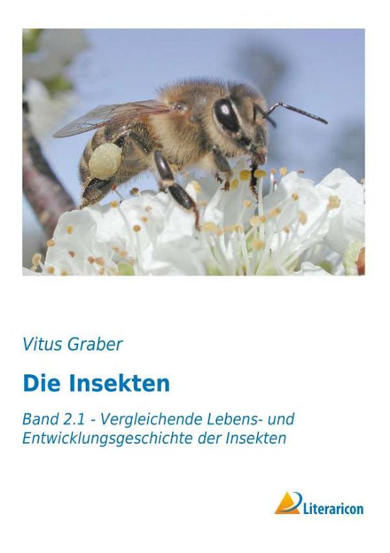 Die Insekten - Graber - Livros -  - 9783959130776 - 
