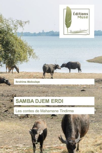 Cover for Ibrahima Abdoulaye · Samba Djem Erdi (Paperback Book) (2021)