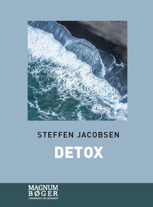 Cover for Steffen Jacobsen · Detox (Storskrift) (Gebundesens Buch) [2. Ausgabe] (2021)