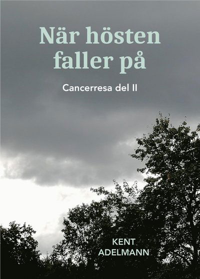 När hösten faller på : cancerresa del II - Kent Adelmann - Kirjat - Kent Adelmann - 9789153116776 - keskiviikko 6. marraskuuta 2024