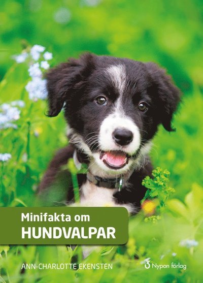 Cover for Ann-Charlotte Ekensten · Minifakta om ?: Minifakta om hundvalpar (Indbundet Bog) (2019)