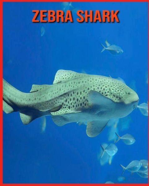 Cover for Annie Nichols · Zebra Shark (Paperback Book) (2021)